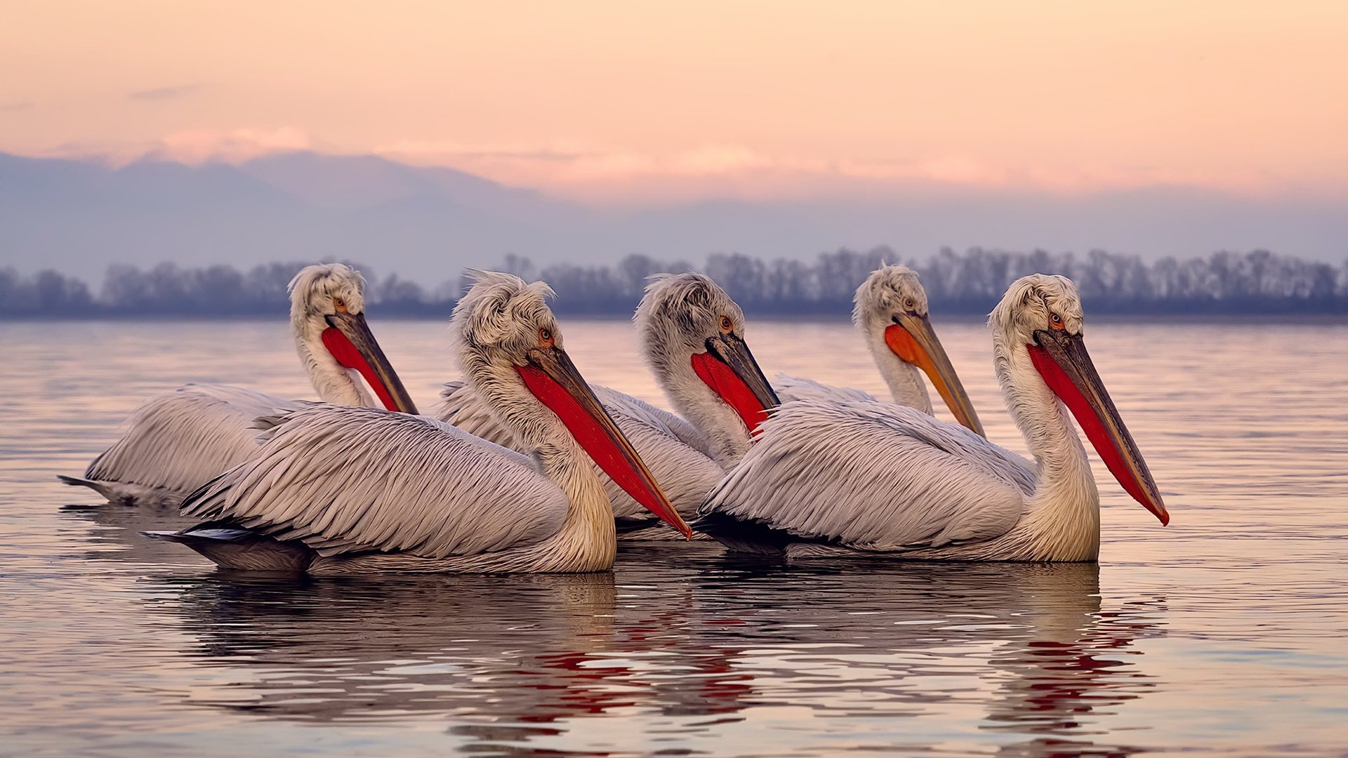 《电竞赛事中的“黑科技”大比拼:未来场景无限可能》,电竞赛事预测分析