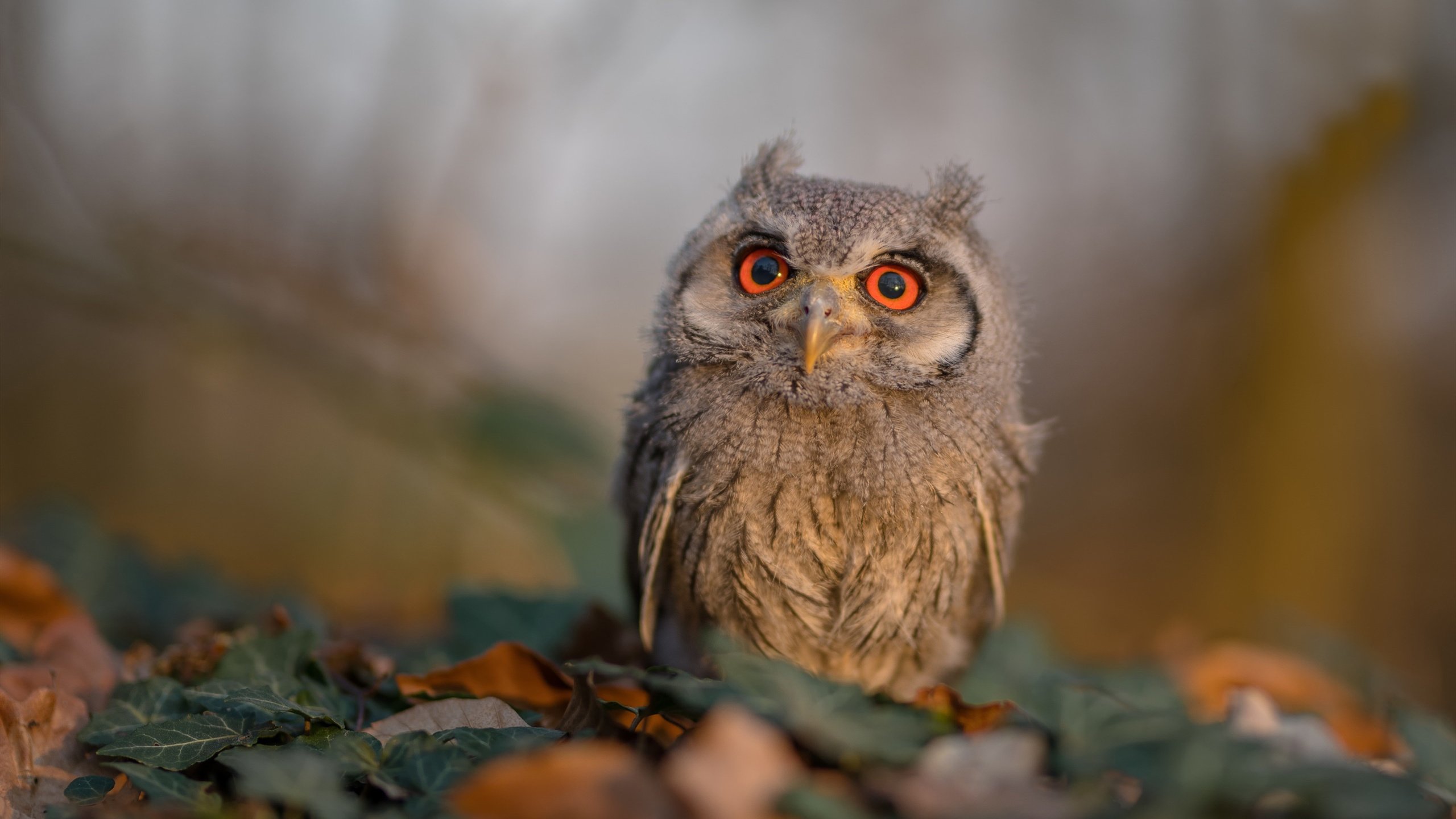 《电竞场馆升级:硬件设施引领行业新标准》,电竞场馆设计规范
