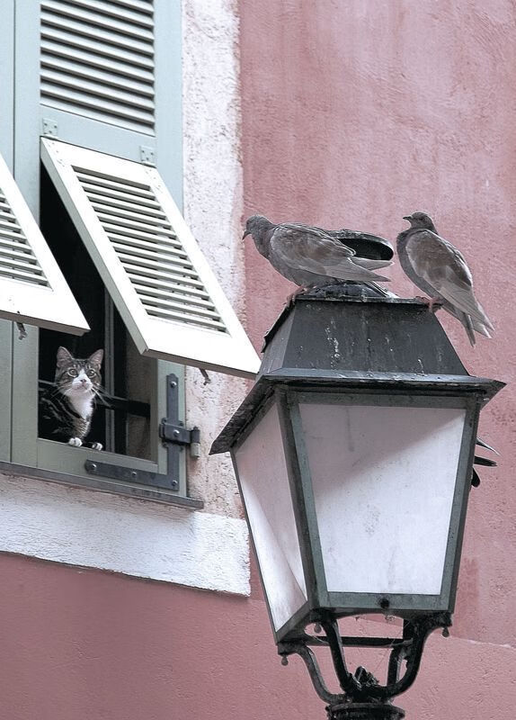 史上最“燃”季后赛夜战，谁的表现最震撼？，季后赛饭堂夜