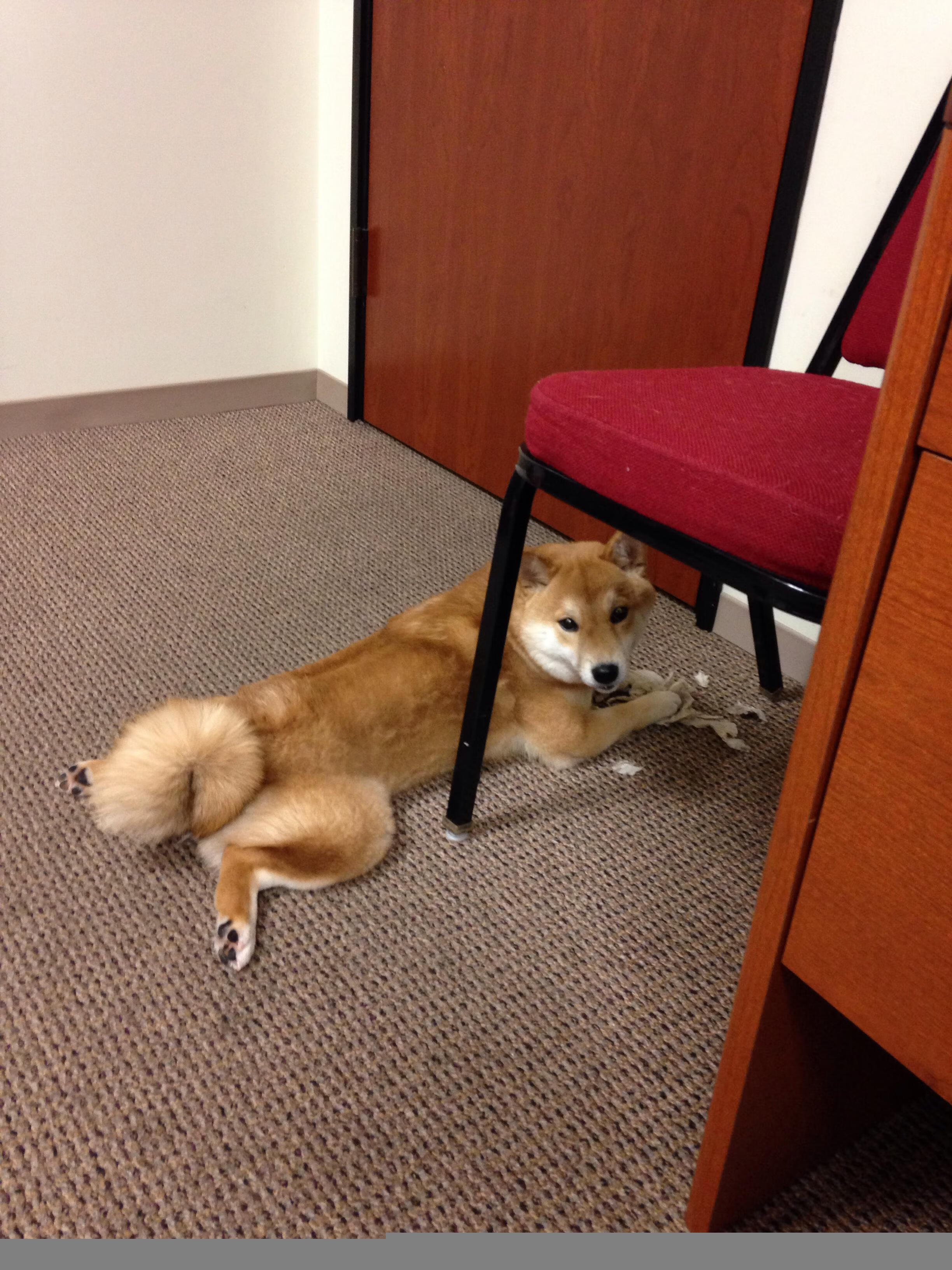 未来之星!青少年篮球“明星培养计划”在全国推行,青少年篮球运动员选拔