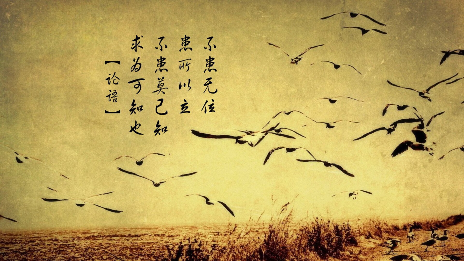 kaiyun网站-球员采访：赛后谈比赛感受，赛后采访视频