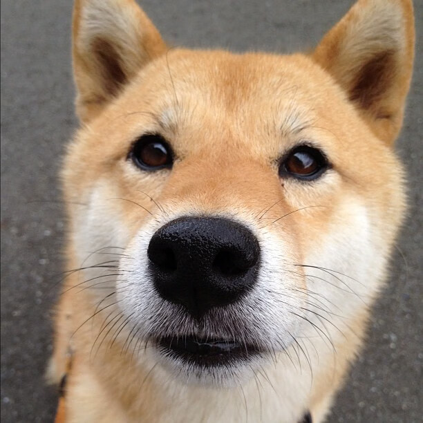 青训成果显现，新一代球员步入国家队，青训球员定义