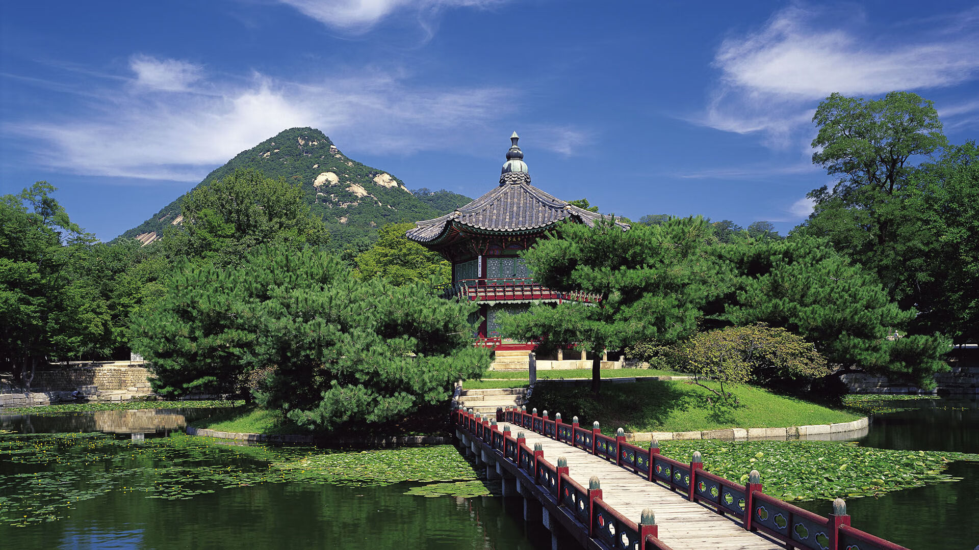 中国足球文化逐渐兴盛,球迷基础不断扩大,中国足球文化逐渐兴盛,球迷基础不断扩大的原因