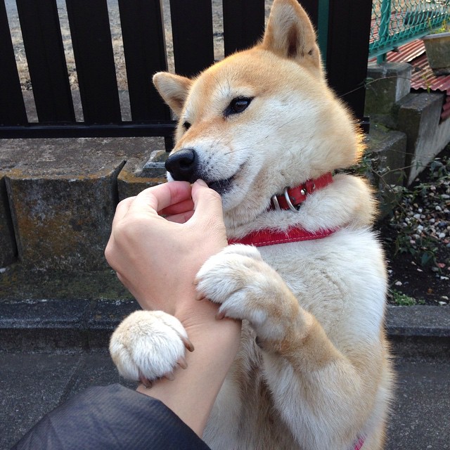 伊朗男足在巴黎奥运会比赛中以3-0击败几内亚,伊朗男足世预赛